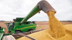 cosecha de granos