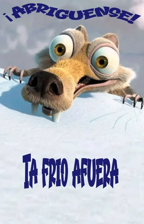image (8)