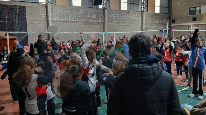 voley